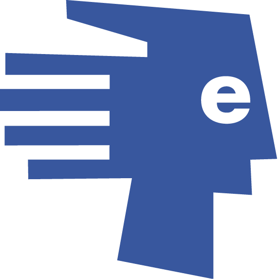 edmc IT Consulting
